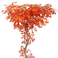 uploads/erp/collection/images/Home Garden/CongDing/XU0611904/img_b/XU0611904_img_b_5